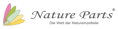 Logo Bergermann Floristik GmbH & Co. KG